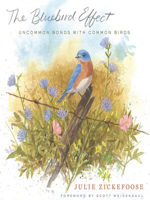 cover image of The Bluebird Effect